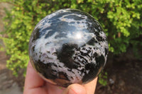Polished Gabbro Spheres x 3 From Madagascar - Toprock Gemstones and Minerals
