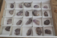 Natural Smokey Window Amethyst Crystals x 20 From Chiredzi, Zimbabwe - Toprock Gemstones and Minerals