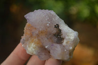 Natural Ametrine Spirit Quartz Clusters x 12 From Boekenhouthoek, South Africa - Toprock Gemstones and Minerals