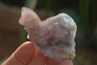 Natural Ametrine Spirit Quartz Clusters x 12 From Boekenhouthoek, South Africa - Toprock Gemstones and Minerals