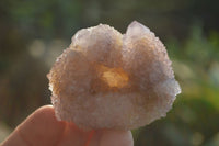 Natural Ametrine Spirit Quartz Clusters x 12 From Boekenhouthoek, South Africa - Toprock Gemstones and Minerals