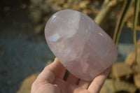 Polished Rose Quartz Standing Free Forms x 2 From Madagascar - Toprock Gemstones and Minerals