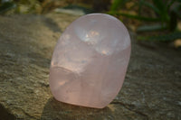 Polished Rose Quartz Standing Free Forms x 2 From Madagascar - Toprock Gemstones and Minerals