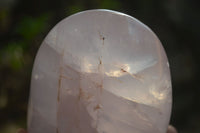 Polished Rose Quartz Standing Free Forms x 2 From Madagascar - Toprock Gemstones and Minerals