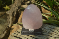 Polished Rose Quartz Standing Free Forms x 2 From Madagascar - Toprock Gemstones and Minerals