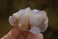 Natural Ametrine Spirit Quartz Clusters x 12 From Boekenhouthoek, South Africa - Toprock Gemstones and Minerals