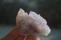Natural Ametrine Spirit Quartz Clusters x 12 From Boekenhouthoek, South Africa - Toprock Gemstones and Minerals