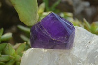 Polished Chevron Amethyst Points x 6 From Zambia - Toprock Gemstones and Minerals