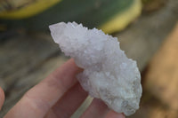 Natural Ametrine Spirit Quartz Clusters x 12 From Boekenhouthoek, South Africa - Toprock Gemstones and Minerals