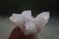 Natural Ametrine Spirit Quartz Clusters x 12 From Boekenhouthoek, South Africa - Toprock Gemstones and Minerals