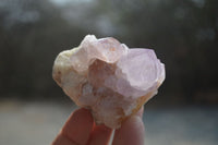 Natural Ametrine Spirit Quartz Clusters x 12 From Boekenhouthoek, South Africa - Toprock Gemstones and Minerals