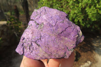 Natural Metallic Purpurite Cobbed Specimens x 12 From Erongo, Namibia - Toprock Gemstones and Minerals