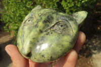 Polished Leopard Stone Cat Face Carvings x 3 From Zimbabwe - Toprock Gemstones and Minerals