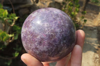 Polished Lepidolite with Pink Rubellite Spheres x 2 From Ambatondrazaka, Madagascar - Toprock Gemstones and Minerals
