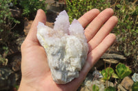 Natural Lilac Amethyst Spirit Quartz Clusters x 4 From Boekenhouthoek, South Africa - Toprock Gemstones and Minerals