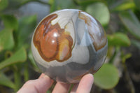 Polished Polychrome Jasper Spheres x 2 From Madagascar - Toprock Gemstones and Minerals