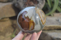 Polished Polychrome Jasper Spheres x 2 From Madagascar - Toprock Gemstones and Minerals