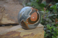 Polished Polychrome Jasper Spheres x 2 From Madagascar - Toprock Gemstones and Minerals