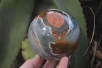 Polished Polychrome Jasper Spheres x 2 From Madagascar - Toprock Gemstones and Minerals