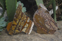 Polished On One Side Nguni Jasper Specimens x 2 From Prieska, South Africa - Toprock Gemstones and Minerals