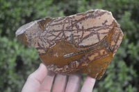 Polished On One Side Nguni Jasper Specimens x 2 From Prieska, South Africa - Toprock Gemstones and Minerals