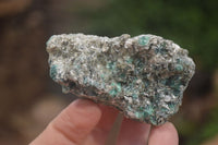 Natural Rare Emerald Mica In Matrix Cobbed Specimens x "Lot" From Mutoko, Zimbabwe - Toprock Gemstones and Minerals