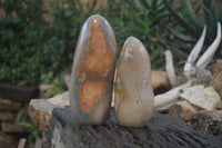 Polished Polychrome Jasper Standing Free Forms x 2 From Madagascar - Toprock Gemstones and Minerals