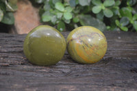 Polished Green Opal Galet - Palm Stones x 12 From Antsirabe, Madagascar - Toprock Gemstones and Minerals