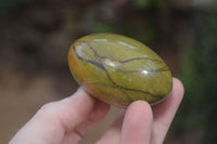 Polished Green Opal Galet - Palm Stones x 12 From Antsirabe, Madagascar - Toprock Gemstones and Minerals