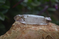 Natural Smokey Chiredzi Amethyst Crystals & Double Terminated Scepters x 35 From Chiredzi, Zimbabwe - Toprock Gemstones and Minerals