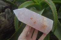 Polished Gemmy Rose Quartz Points x 2 From Madagascar - Toprock Gemstones and Minerals