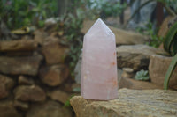 Polished Gemmy Rose Quartz Points x 2 From Madagascar - Toprock Gemstones and Minerals