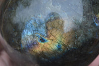 Polished Labradorite Sphere with a Rosewood Stand x 1 From Tulear, Madagascar - Toprock Gemstones and Minerals