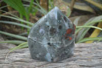 Polished Bloodstone Point-Prisms x 2 From Swaziland - Toprock Gemstones and Minerals