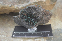 Natural Ball Malachite On Quartz Matrix Specimens x 2 From Mindigi Mine, Congo - Toprock Gemstones and Minerals