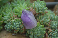 Polished Smokey Amethyst Window Quartz Point-Prism x 20 From Akansobe, Madagascar - Toprock Gemstones and Minerals