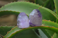 Polished Smokey Amethyst Window Quartz Point-Prism x 20 From Akansobe, Madagascar - Toprock Gemstones and Minerals