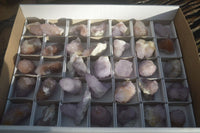 Natural Amethyst and Ametrine Spirit Quartz Clusters x 35 From Boekenhouthoek, South Africa - Toprock Gemstones and Minerals