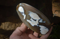 Polished Snow / Orca Agate Standing Free Forms x 4 From West Coast, Madagascar - Toprock Gemstones and Minerals