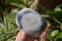 Polished Snow / Orca Agate Standing Free Forms x 4 From West Coast, Madagascar - Toprock Gemstones and Minerals