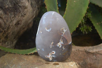 Polished Snow / Orca Agate Standing Free Forms x 4 From West Coast, Madagascar - Toprock Gemstones and Minerals