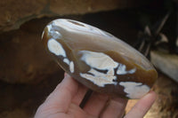 Polished Snow / Orca Agate Standing Free Forms x 4 From West Coast, Madagascar - Toprock Gemstones and Minerals
