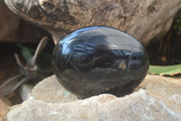 Polished Black Tourmaline Standing Free Forms x 3 From Madagascar - Toprock Gemstones and Minerals