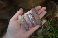 Natural Smokey Amethyst Crystals x 13 From Chiredzi, Zimbabwe - Toprock Gemstones and Minerals