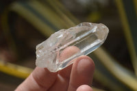 Natural Clear Quartz Crystals x 2 Kg Lot From Zimbabwe - Toprock Gemstones and Minerals