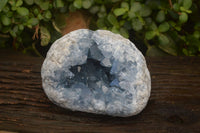 Natural Celestite Geode Specimen x 1 From Sakoany, Madagascar - Toprock Gemstones and Minerals