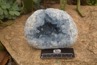 Natural Celestite Geode Specimen x 1 From Sakoany, Madagascar - Toprock Gemstones and Minerals