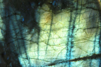 Polished Labradorite Standing Free Forms x 2 From Tulear, Madagascar - Toprock Gemstones and Minerals