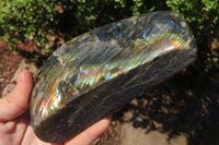 Polished Labradorite Standing Free Forms x 2 From Tulear, Madagascar - Toprock Gemstones and Minerals