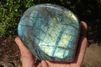 Polished Labradorite Standing Free Forms x 2 From Tulear, Madagascar - Toprock Gemstones and Minerals